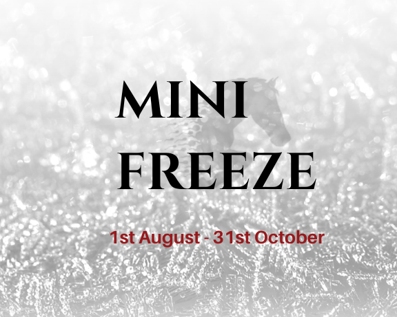 Mini Freeze and Mini Freeze + Back This Autumn
